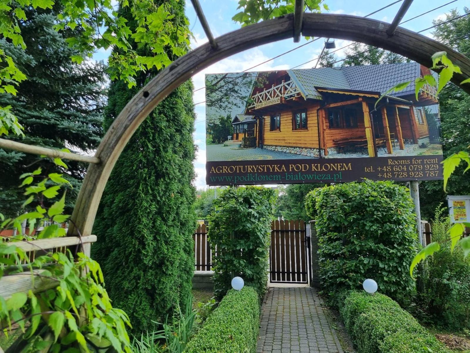 Domek Pod Klonem Agroturystyka Białowieża 외부 사진